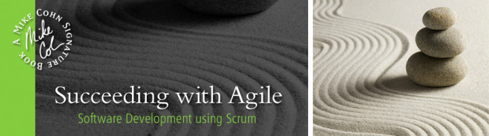 Succeeding with Agile