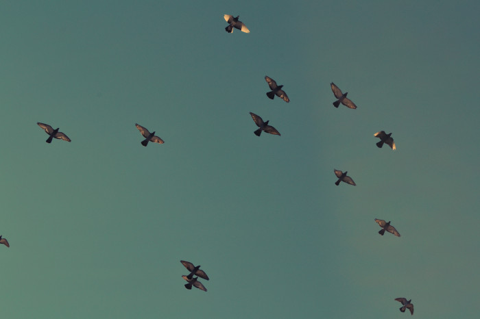 Migrating Express.js 3.x to 4.x: Middleware, Route and Other Changes